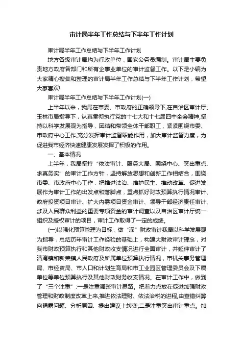 审计局半年工作总结与下半年工作计划