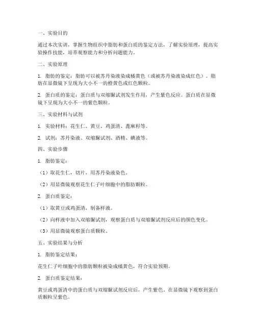 脂肪蛋白质鉴定实训报告