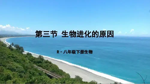 《生物进化的原因》PPT课件【精品】
