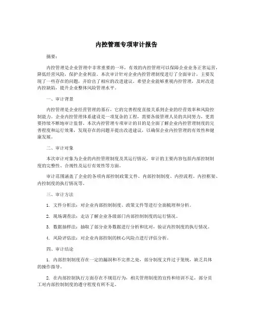 内控管理专项审计报告
