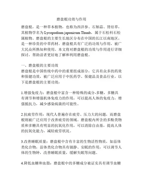 磨盘根功效与作用
