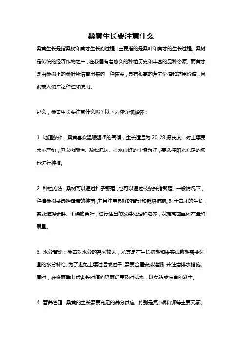 桑黄生长要注意什么