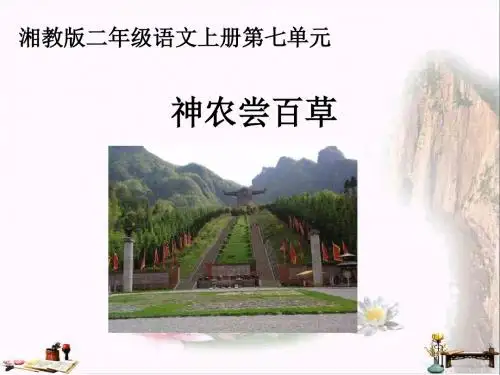 二年级语文上册 第七单元 神农尝百草课件1 湘教版