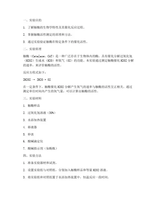 触酶的实验报告