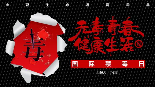 国际禁毒日-禁毒知识宣传教育PPT16