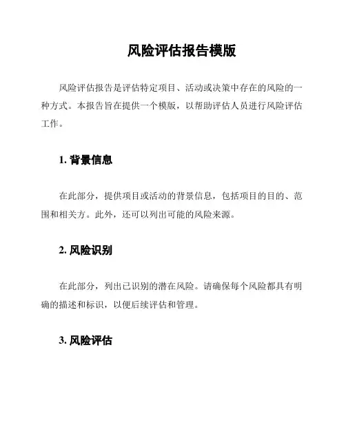 风险评估报告模版