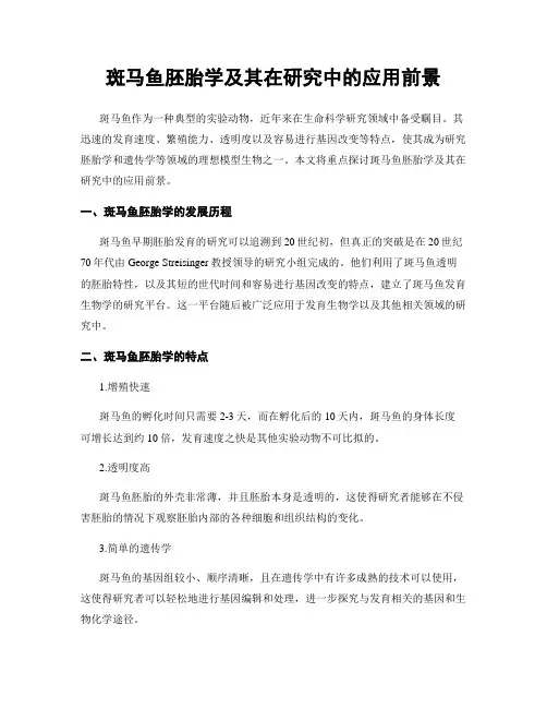 斑马鱼胚胎学及其在研究中的应用前景