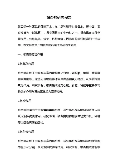 银杏的研究报告