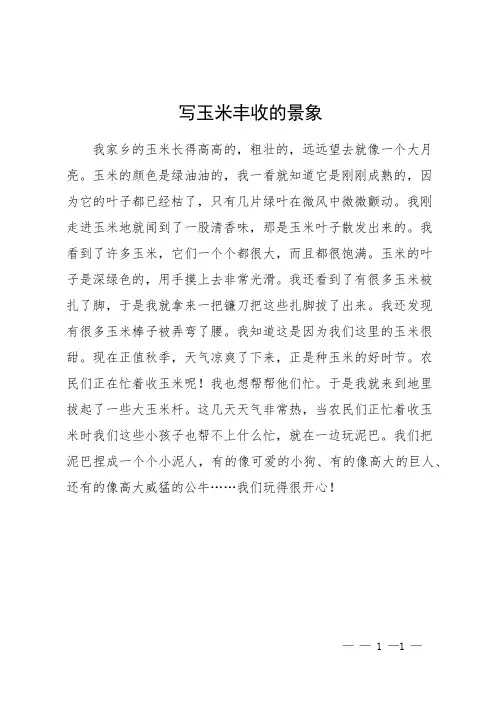 写玉米丰收的景象