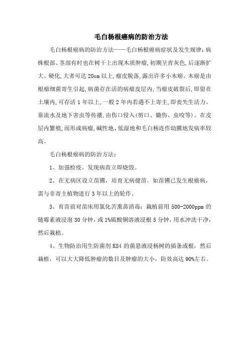 毛白杨根癌病的防治方法