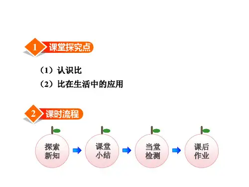 北师大版生活中的比PPT公开课课件