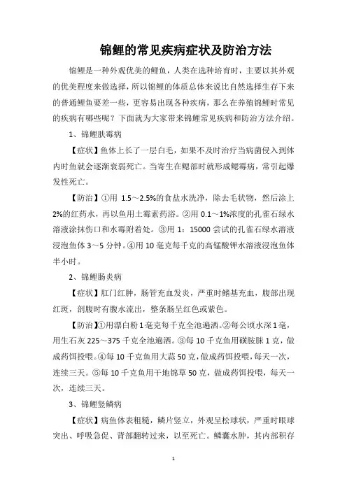 锦鲤的常见疾病症状及防治方法