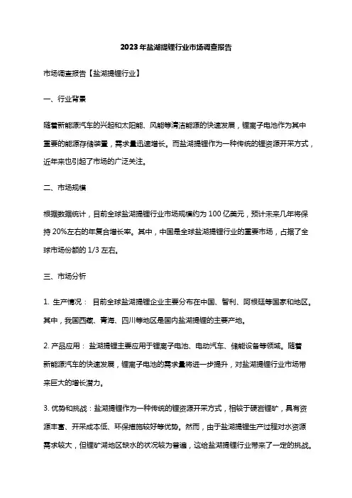 2023年盐湖提锂行业市场调查报告