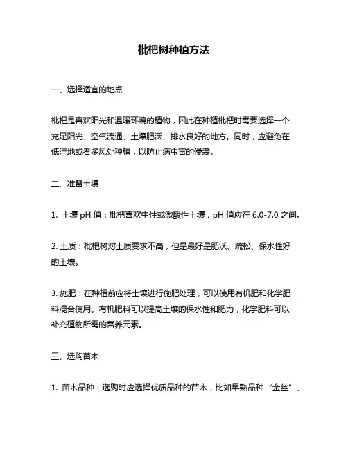 枇杷树种植方法