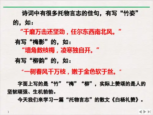 部编八年级上《白杨礼赞》实用版