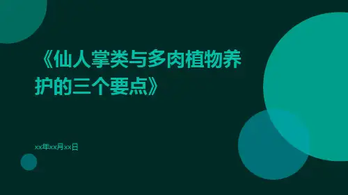 仙人掌类与多肉植物养护的三个要点