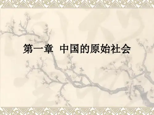 原始社会史