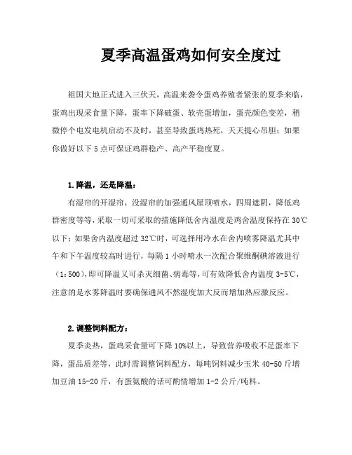 夏季高温蛋鸡如何安全度过