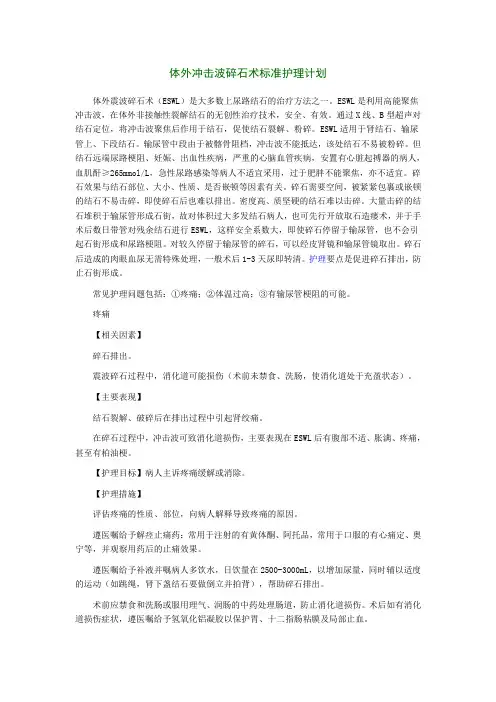 体外冲击波碎石术标准护理计划