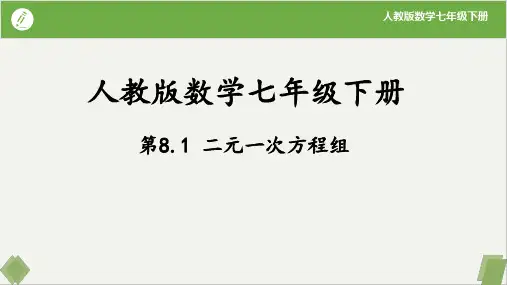 8.1二元一次方程组(同步课件)-七年级数学下册同步精品课堂(人教版)