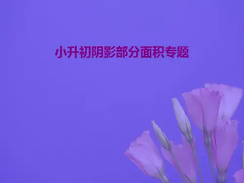小升初阴影部分面积专题