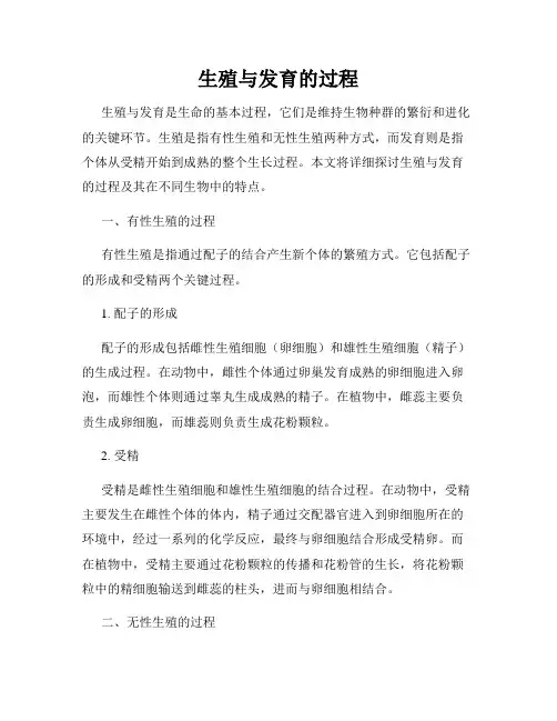 生殖与发育的过程