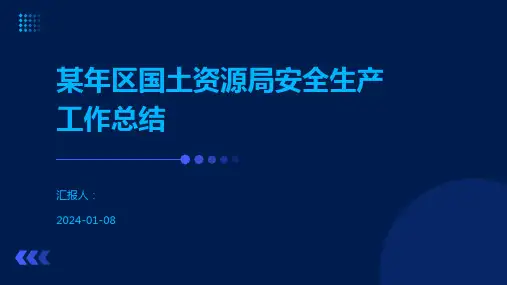 某年区国土资源局安全生产工作总结