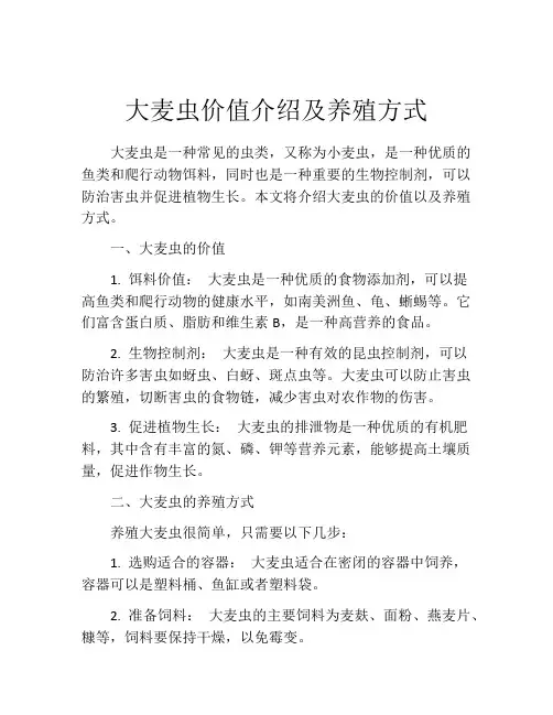 大麦虫价值介绍及养殖方式