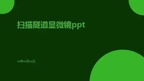 扫描隧道显微镜ppt