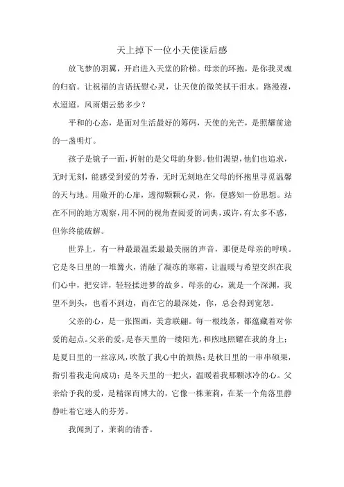天上掉下一位小天使读后感