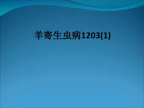 羊寄生虫病1203(1)ppt课件