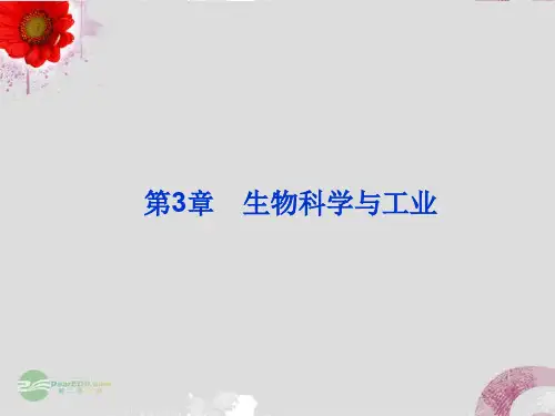 高中生物 3.2 酶在工业生产中的应用课件 新人教版选修2