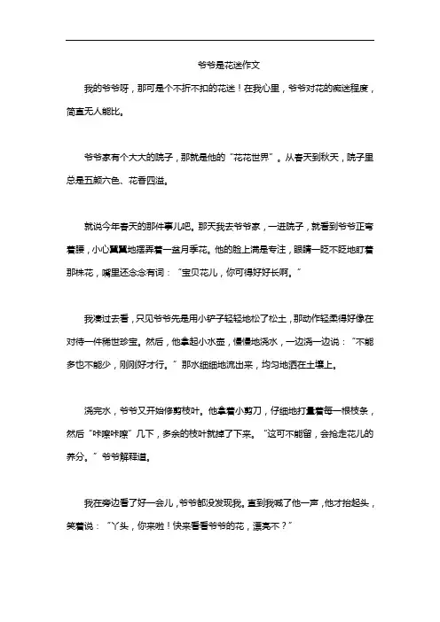 爷爷是花迷作文