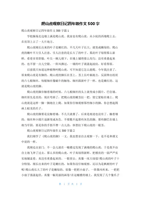 爬山虎观察日记四年级作文500字