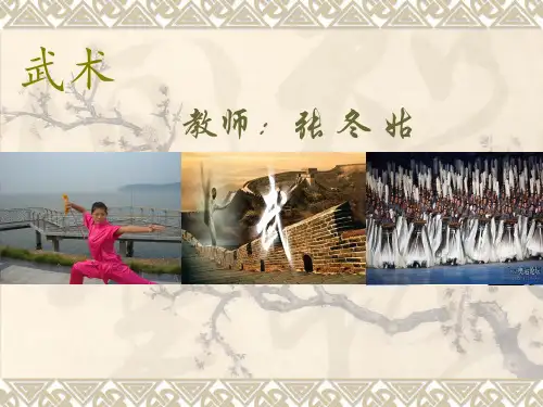 人教版高中体育与健康《武术运动》PPT课件