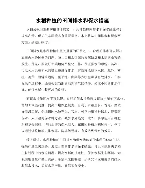 水稻种植的田间排水和保水措施