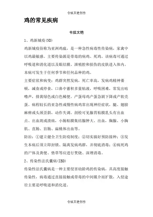 鸡的常见疾病之令狐文艳创作