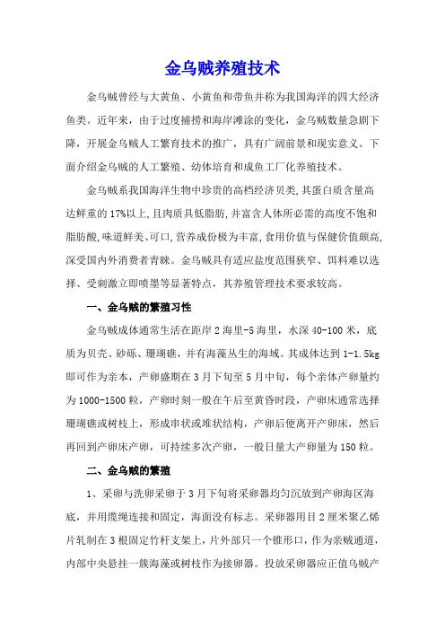 金乌贼养殖技术