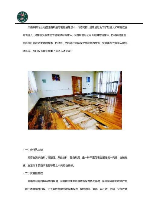 白蚁种类及如何消灭