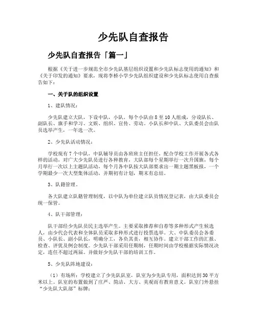 少先队自查报告