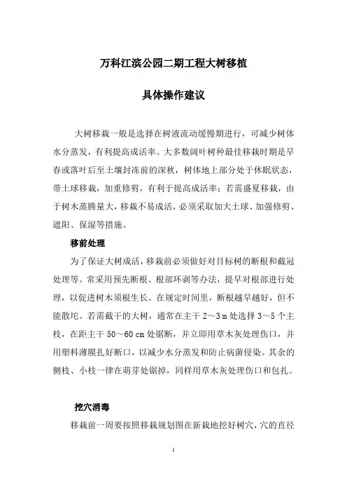 大树移植注意事项