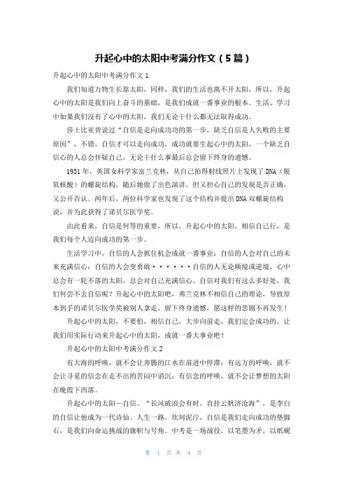 升起心中的太阳中考满分作文（5篇）
