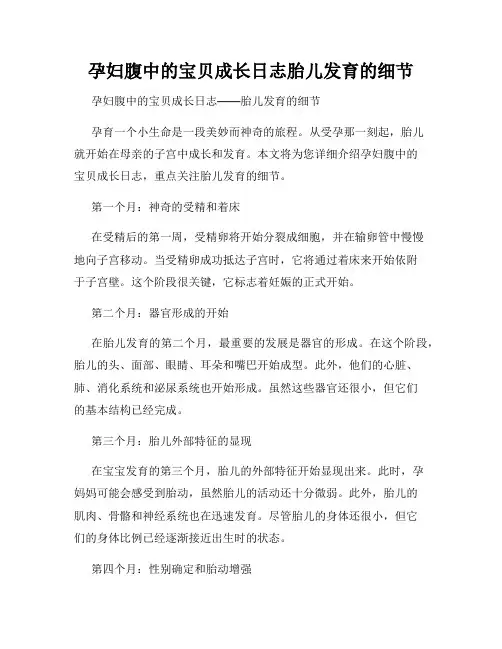孕妇腹中的宝贝成长日志胎儿发育的细节