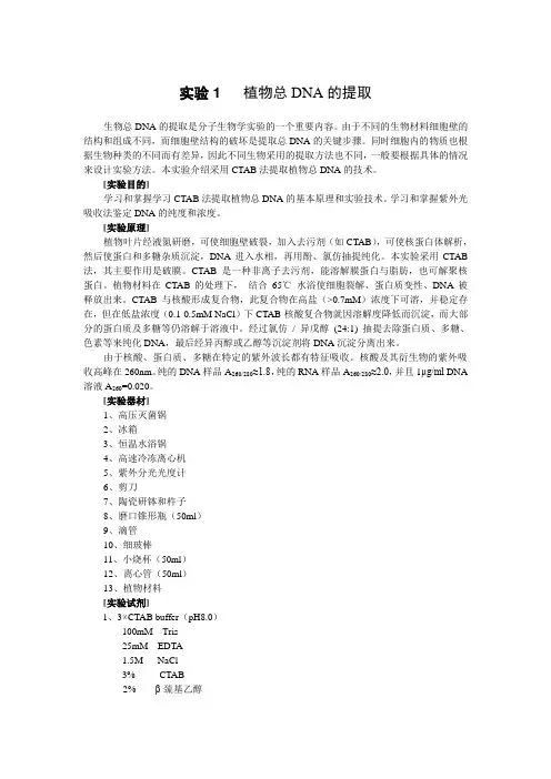 植物总DNA的提取
