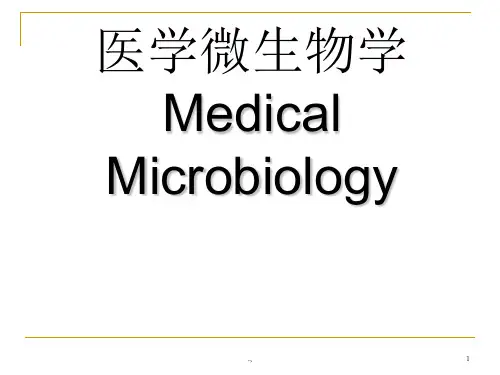 医学微生物概述最终版.ppt