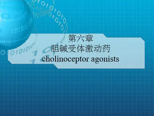 《拟胆碱药》PPT课件