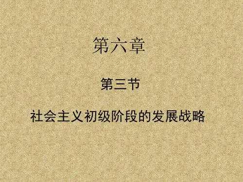 社会主义初级阶段的发展战略 (1)