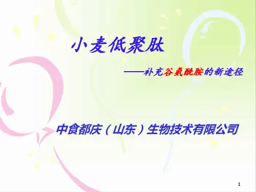 小麦低聚肽