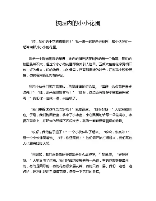校园内的小小花圃