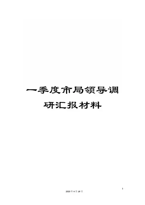 一季度市局领导调研汇报材料